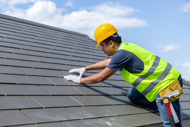 Roof Gutter Cleaning in Penn State Erie, PA