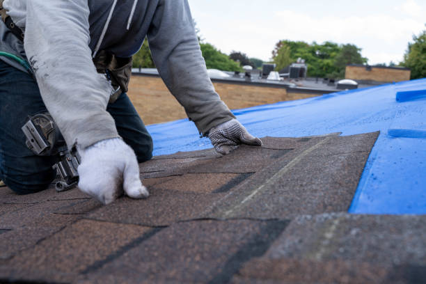 Best Residential Roofing Contractor  in Penn State Erie, PA